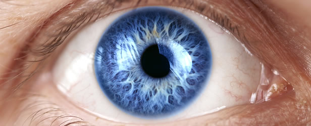 Iridology